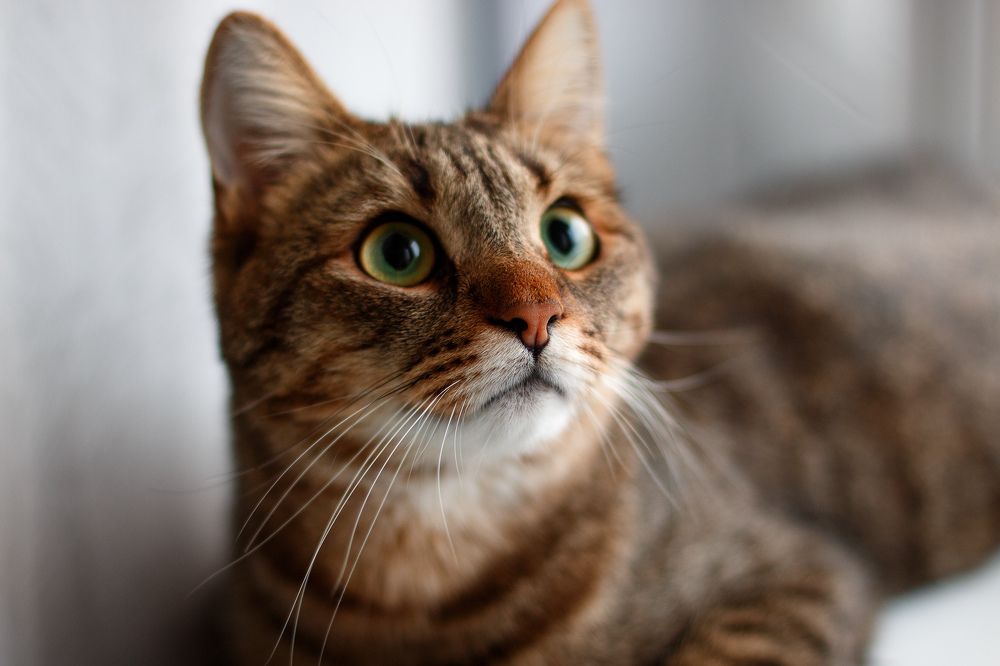 Photograph by Мария Мартынова