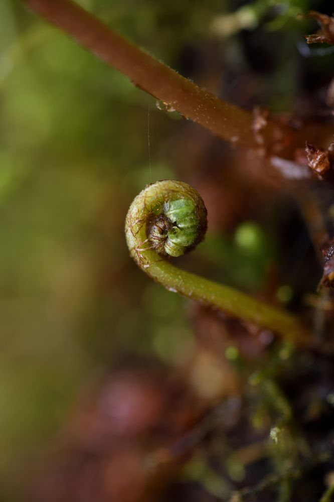 Photograph by Sean Farrell