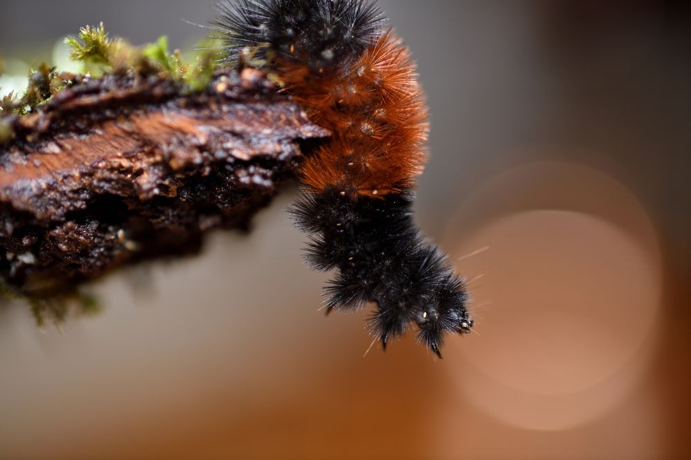 Photograph by Sean Farrell