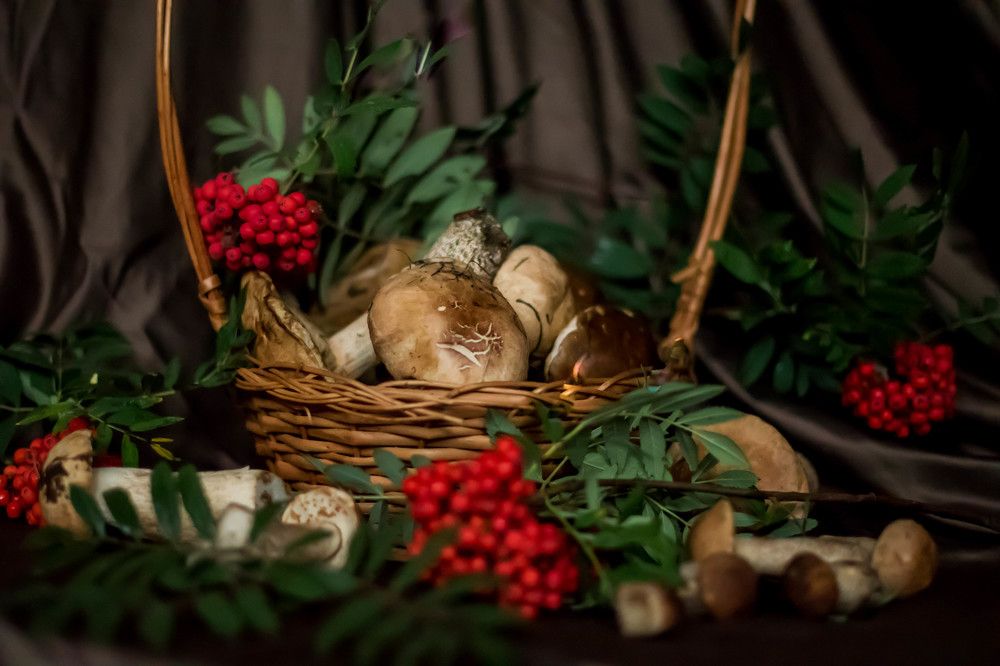 Дары осени 2022