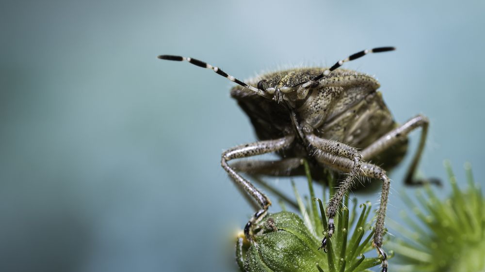 Photograph by Conner Head