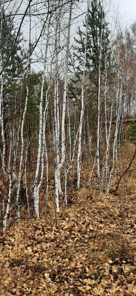 Photograph by Ирина Ахметова