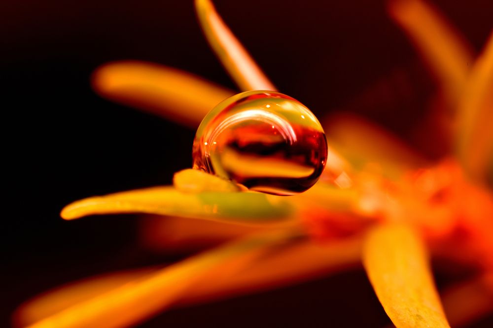 Photograph by Sean Farrell