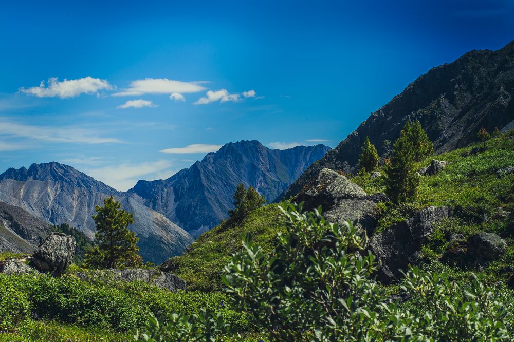 Фотография автора Оркина Ксения