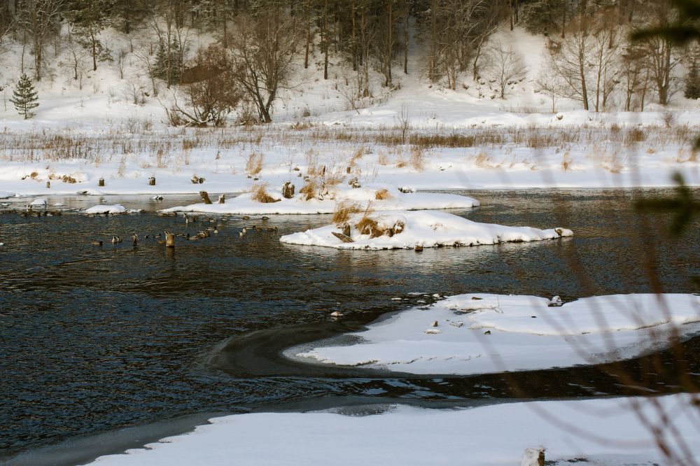 Photograph by Вера Олина