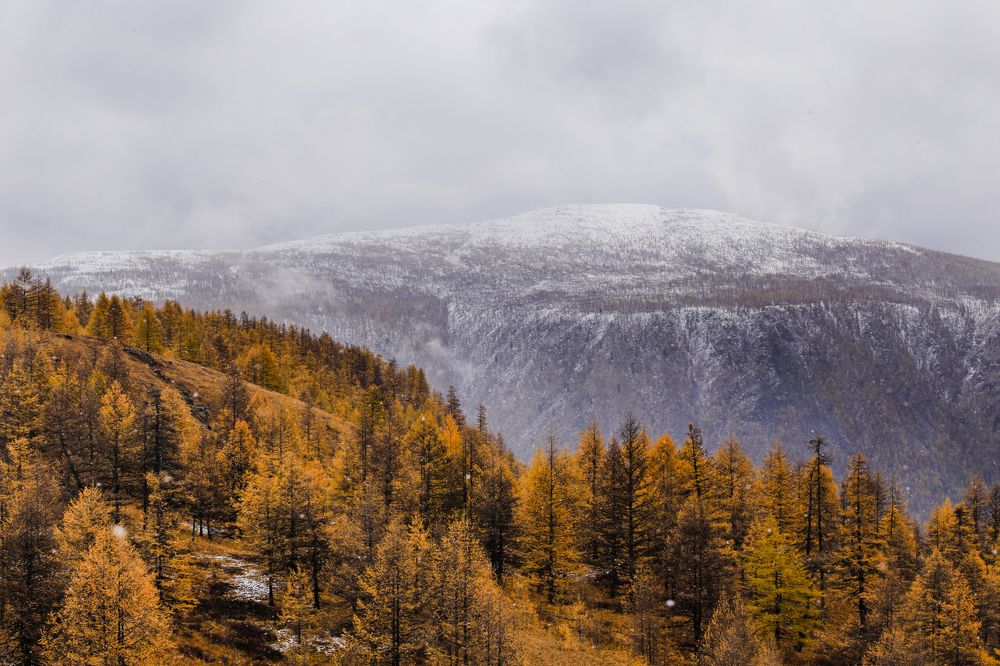 Фотография автора Оркина Ксения