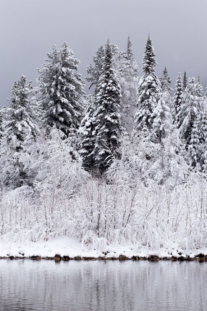 Фотография автора Оркина Ксения