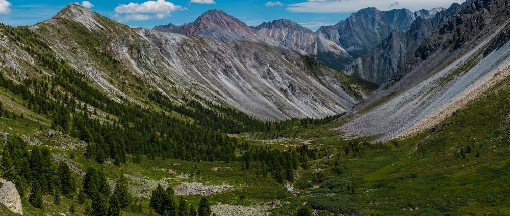 Фотография автора Оркина Ксения