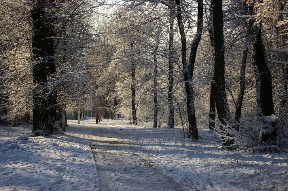 Photograph by Sergey Velichko