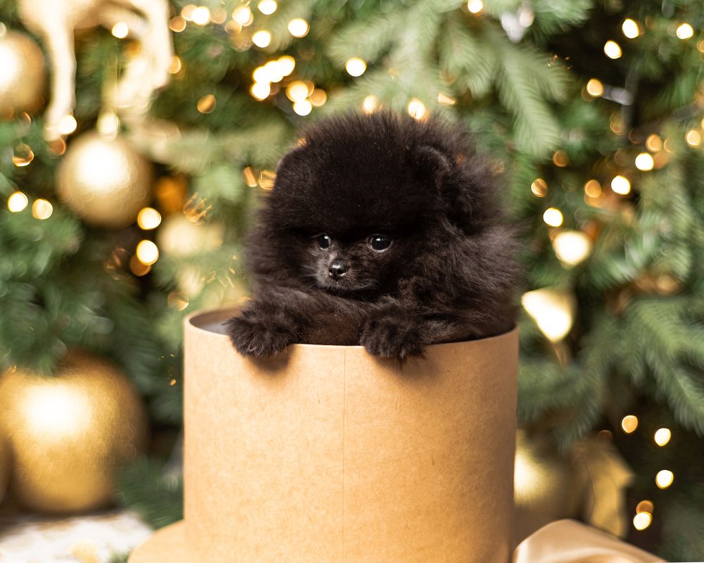 Photograph by Виктория Сафонова