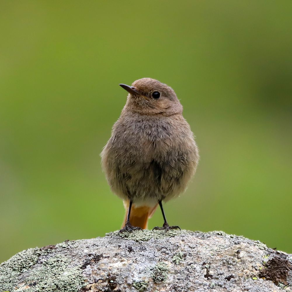 Photograph by Алексей