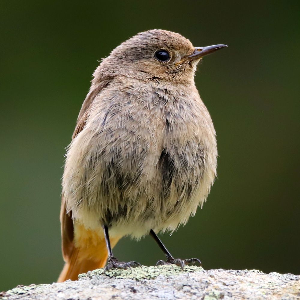 Photograph by Алексей