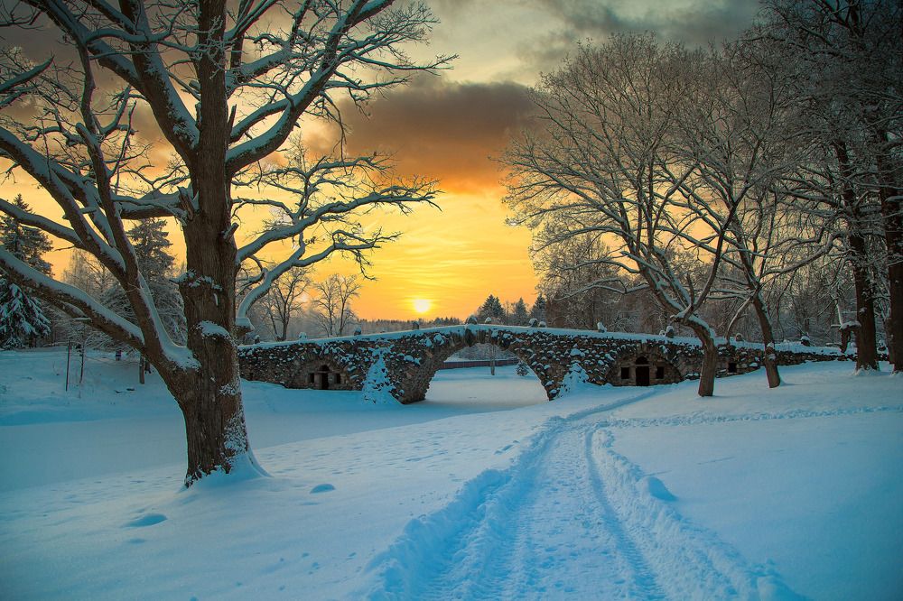 Photograph by Ирина Ларина