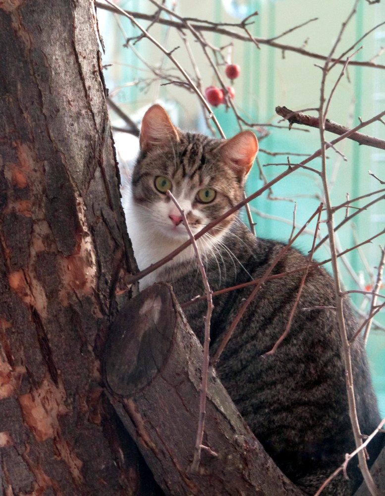 Photograph by Татьяна Смирнова