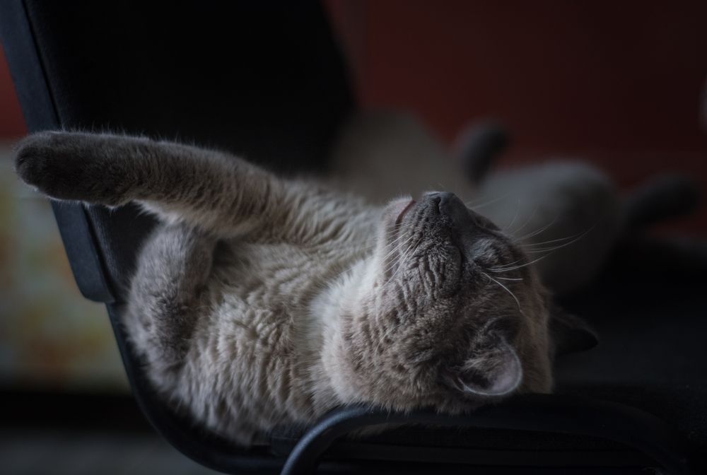 Photograph by Елена Плотникова