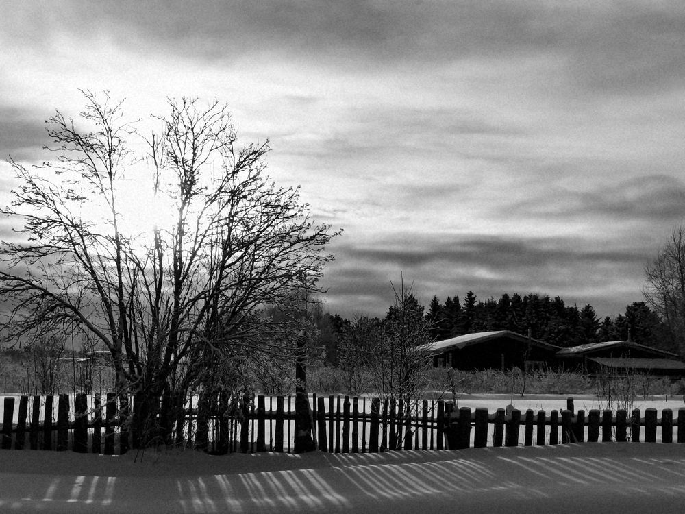 Фотография автора Андрей Богданов