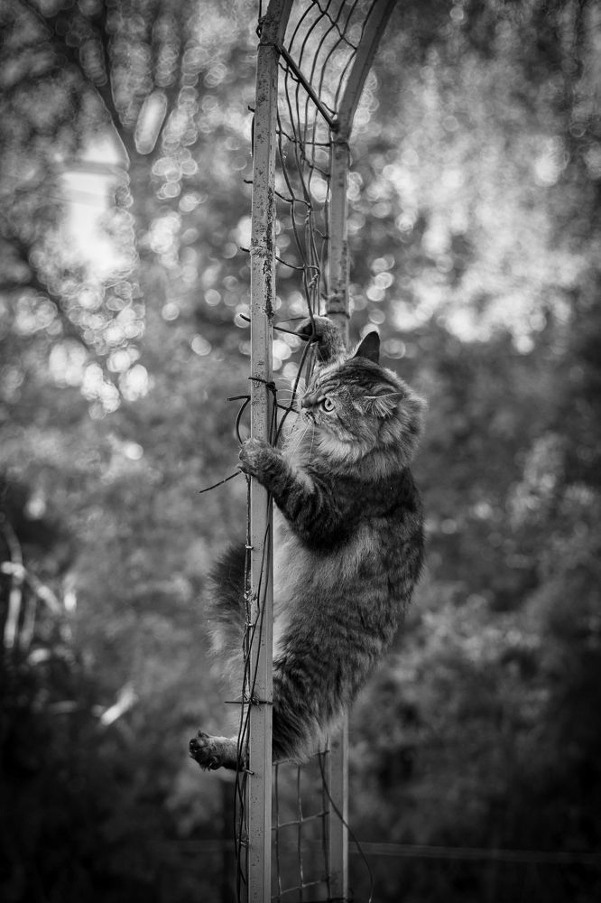 Photograph by Вера Голицына