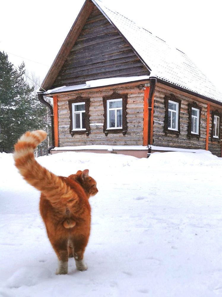 Фотография автора Андрей Богданов