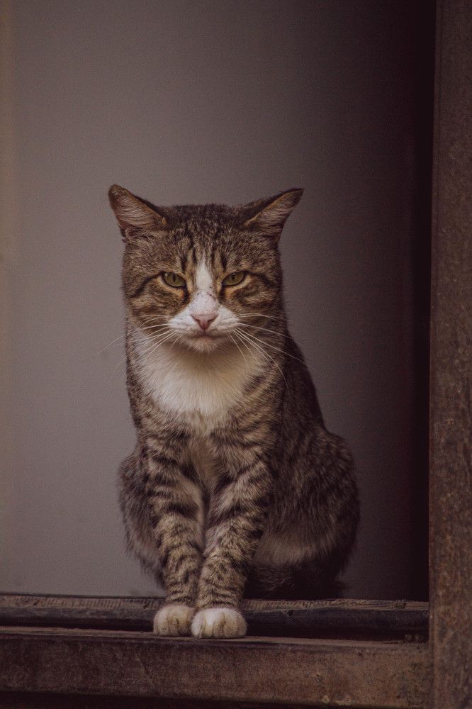 Фотография автора Nikita Gaidarenko