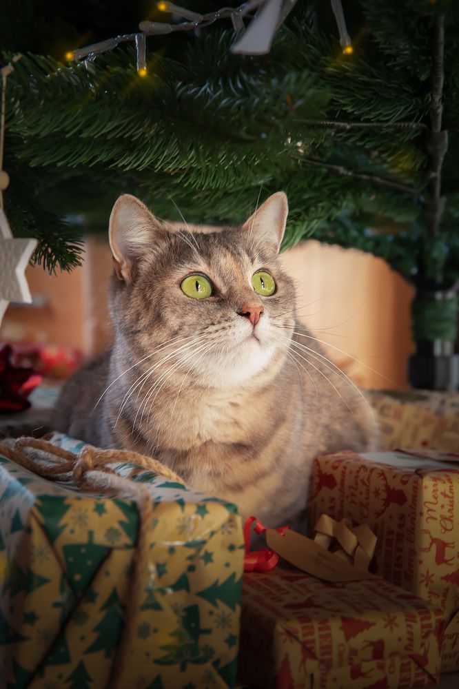 Photograph by Ирина Подгорная