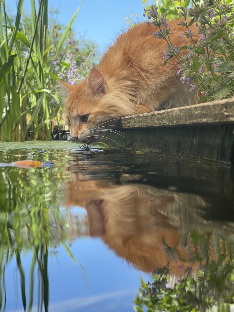 Photograph by Ирина Подгорная