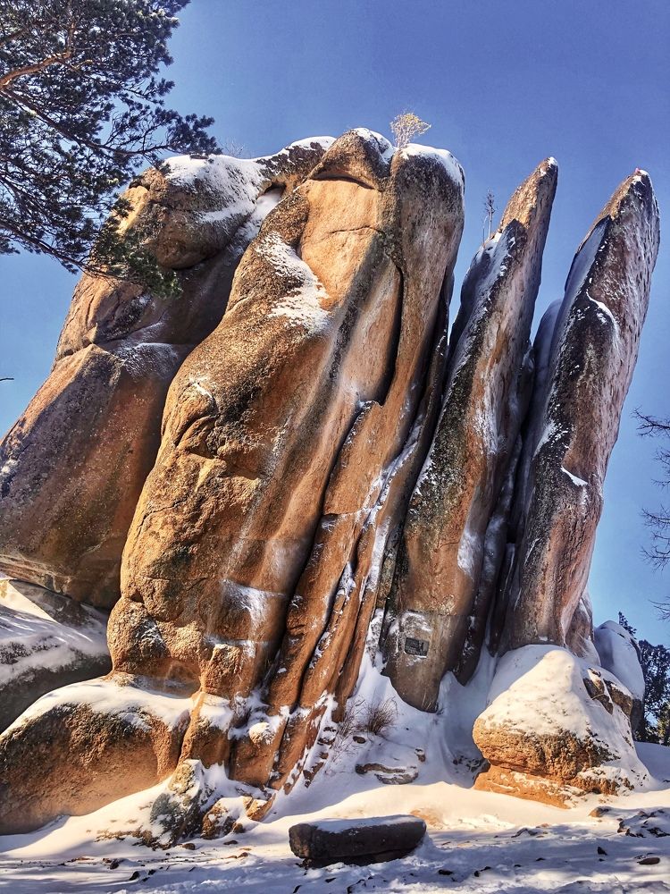 Photograph by Светлана Дмитриева