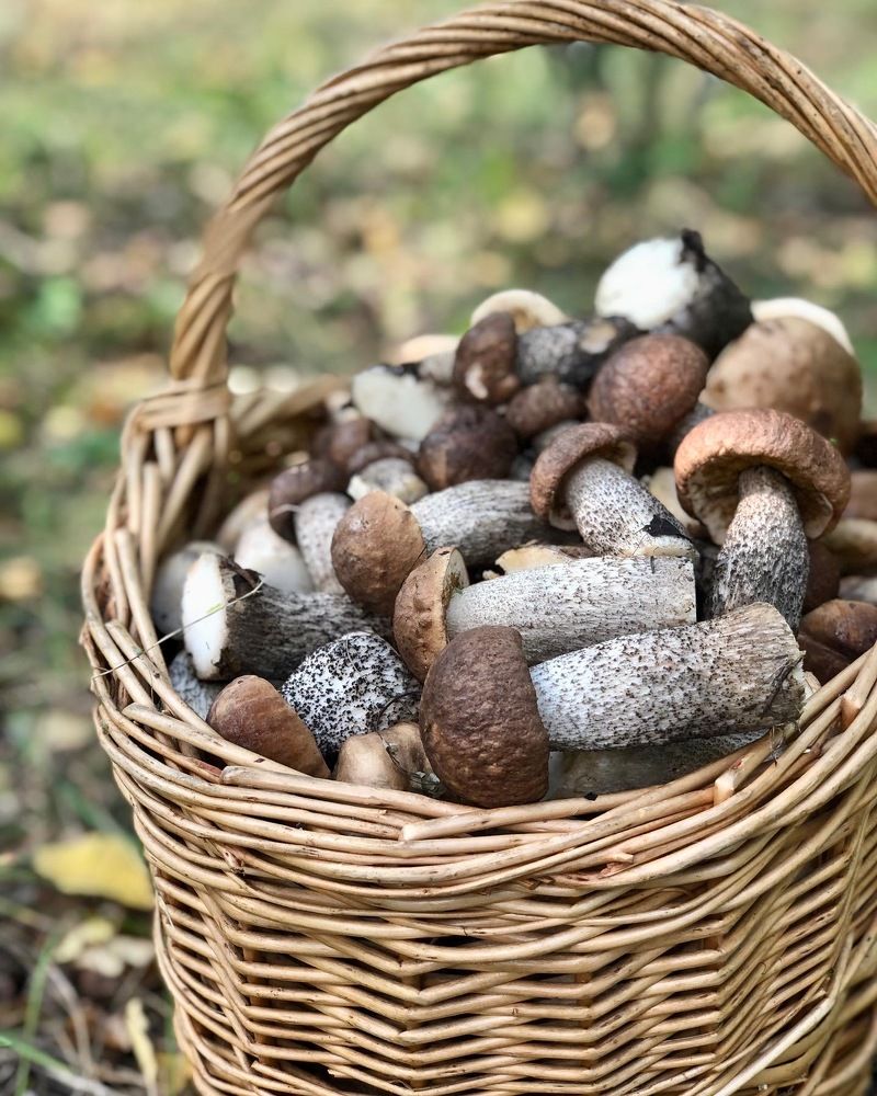 Photograph by Светлана Дмитриева