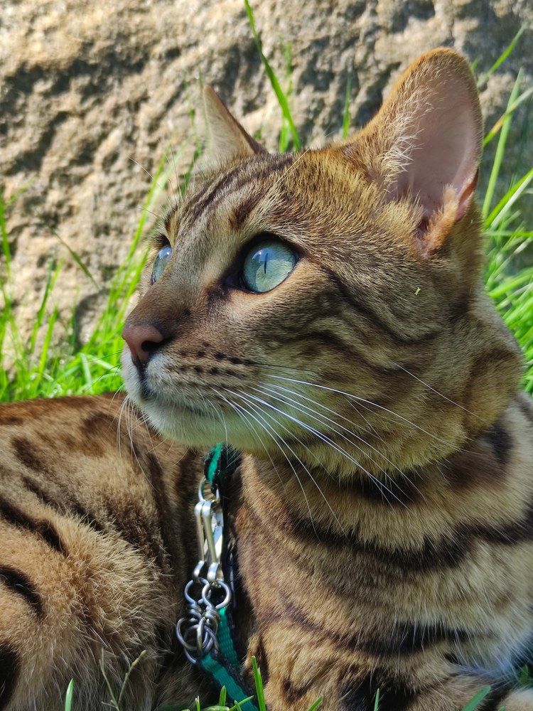 Photograph by Ирина Подлубная