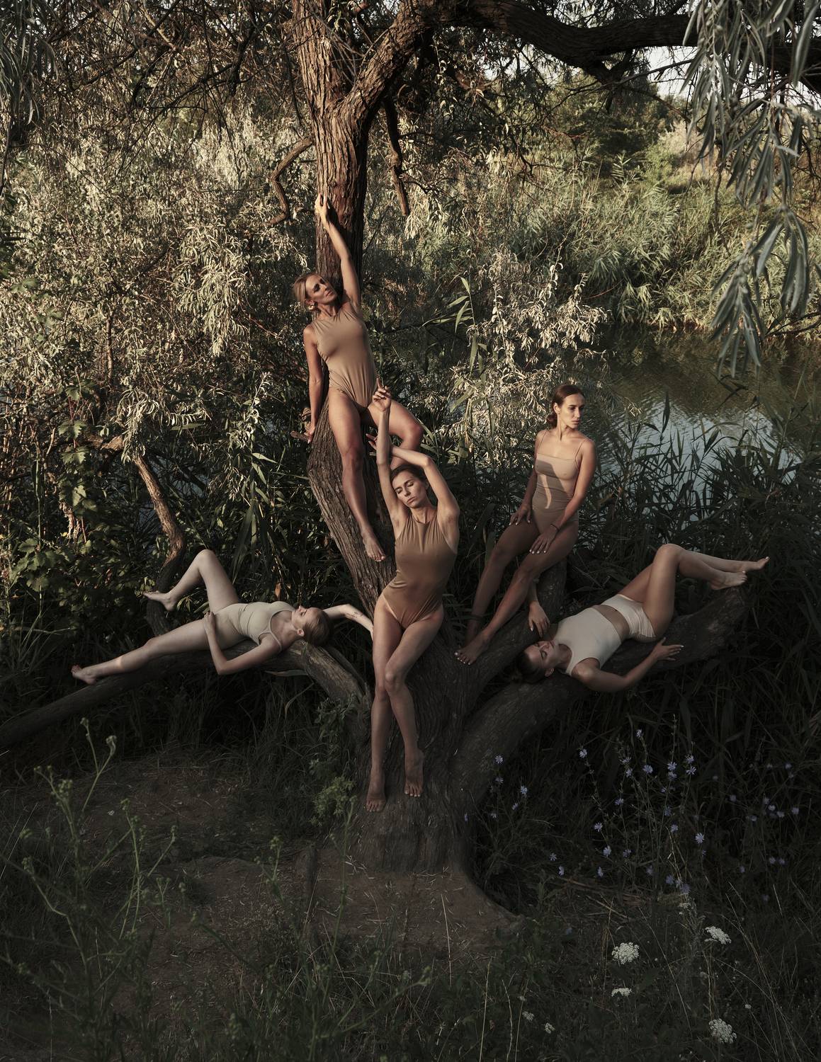 Фотография #8685193