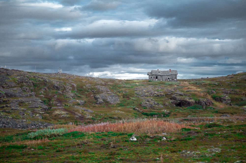 Photograph by Виктория Хадкевич