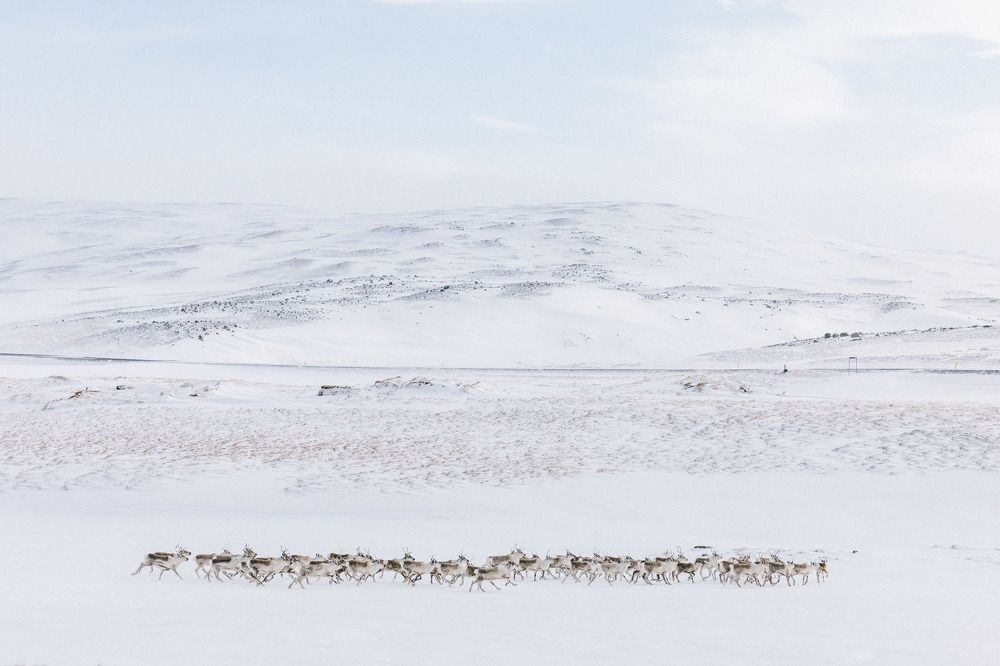 Photograph by Aleksandr Balakin