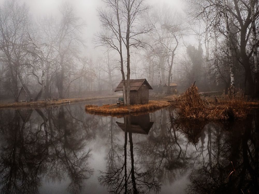 Photograph by Adrian Eperjessy