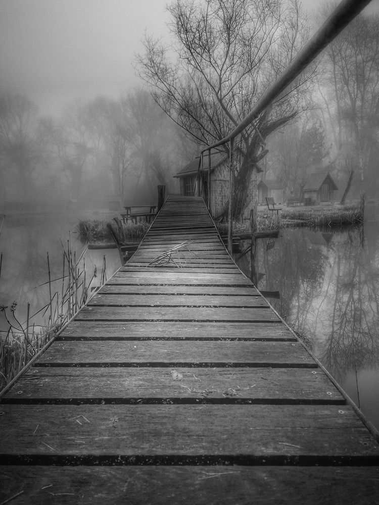 Photograph by Adrian Eperjessy