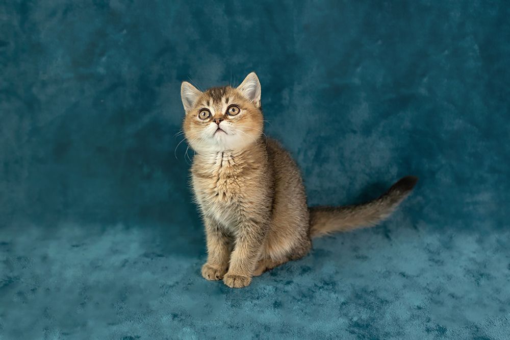 Photograph by Наталья Филаткина