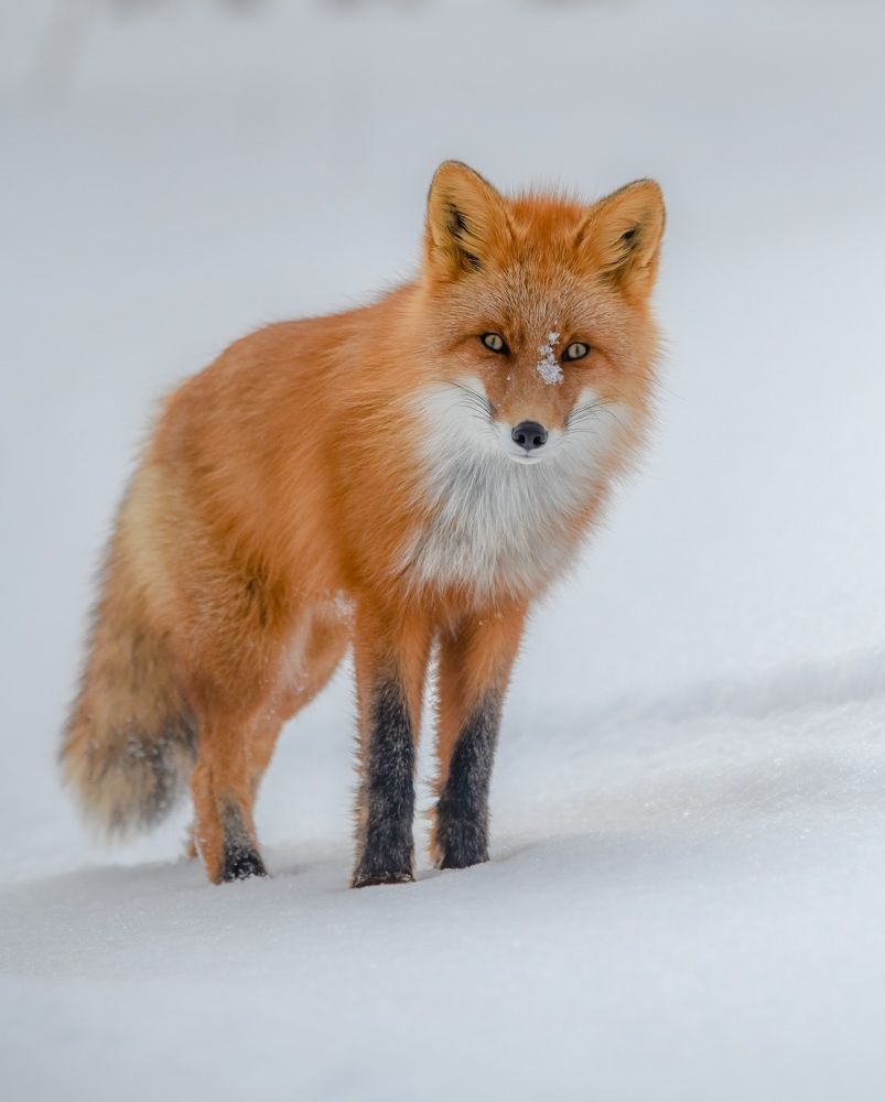 Photograph by Алексей Ознобихин