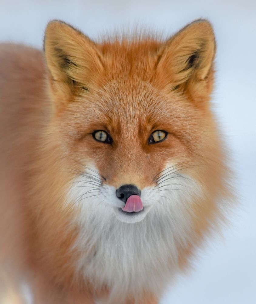 Photograph by Алексей Ознобихин