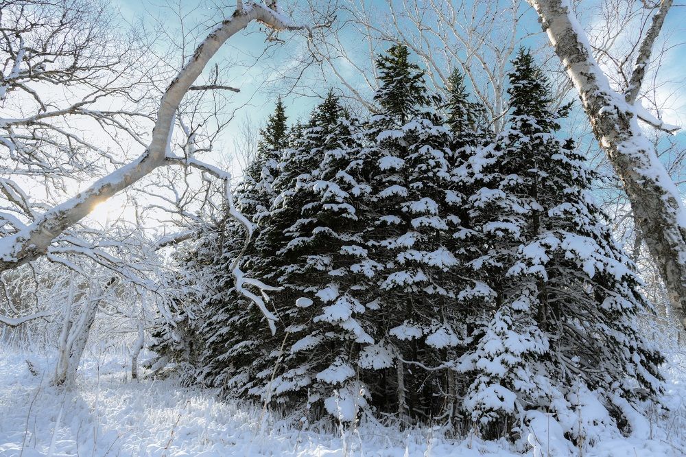 Photograph by Алексей Ознобихин