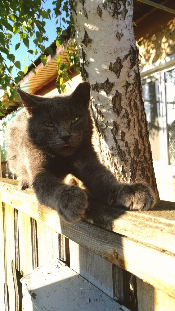 Photograph by Ирина Алпацкая