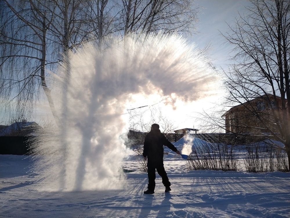 Photo #8685539