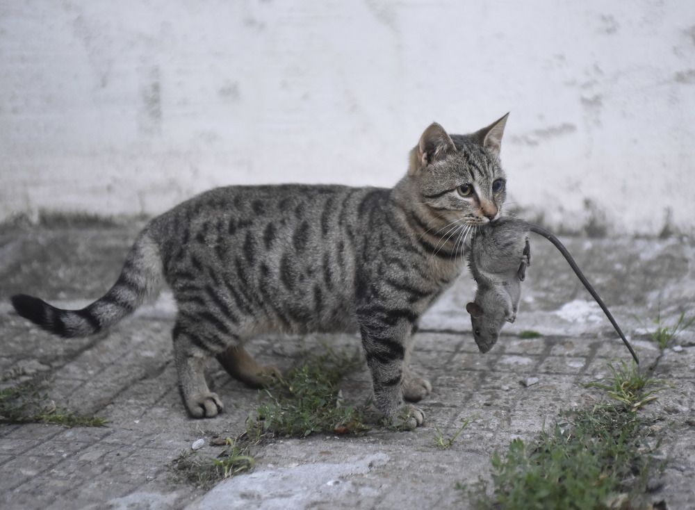 Photograph by Alexandra Ivanova
