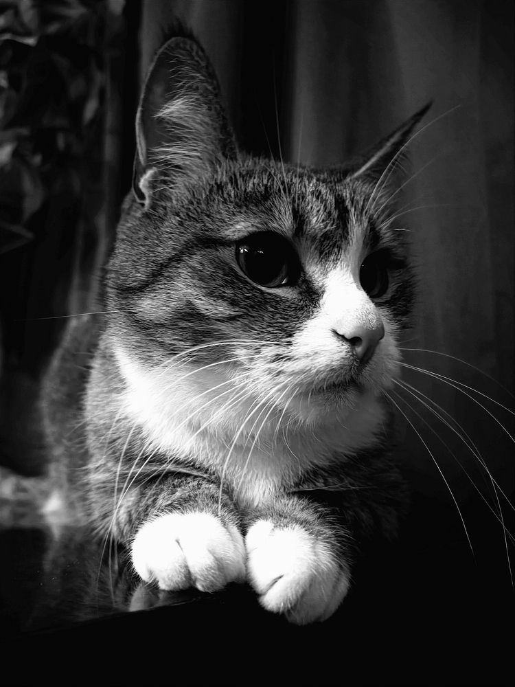 Photograph by Марина Хохрякова