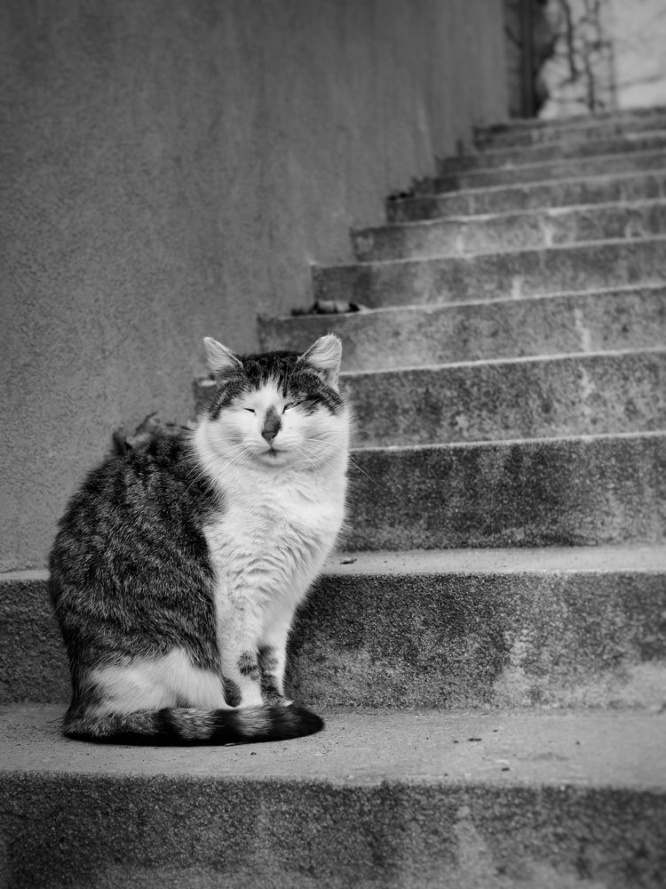 Photograph by Суковач Роман