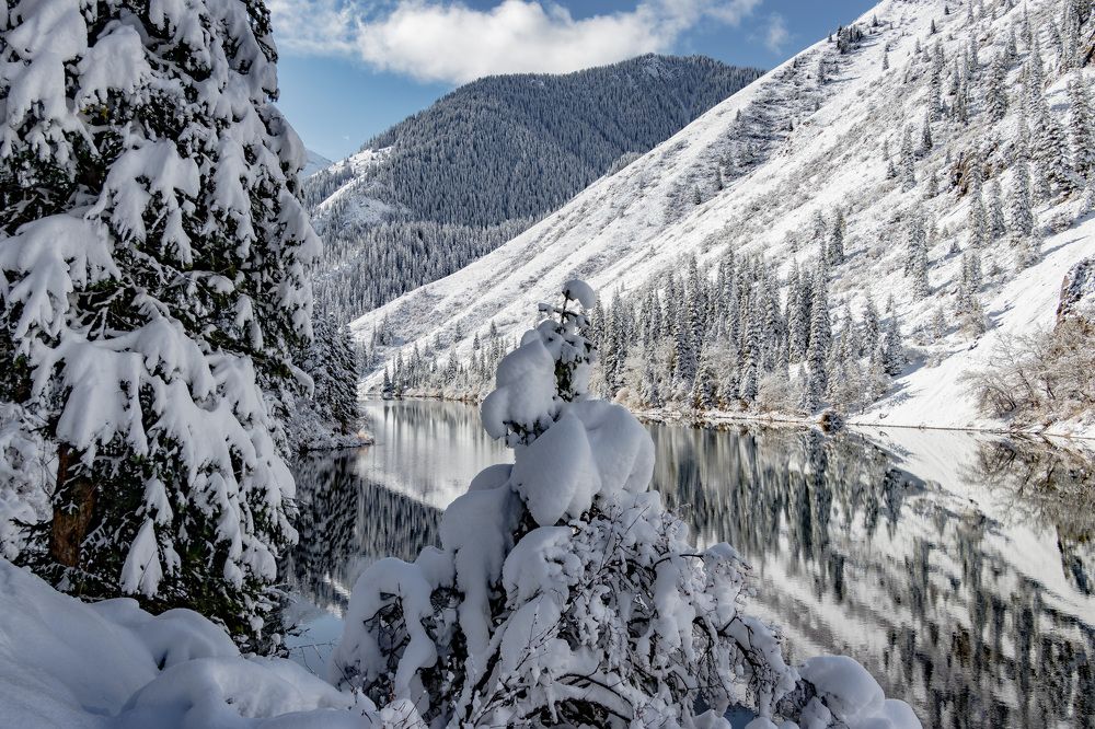 Photograph by Sergei Kidryasov