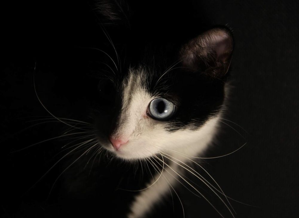 Photograph by Алина