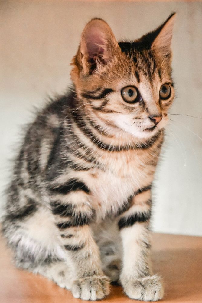 Photograph by Наталья Сорокина