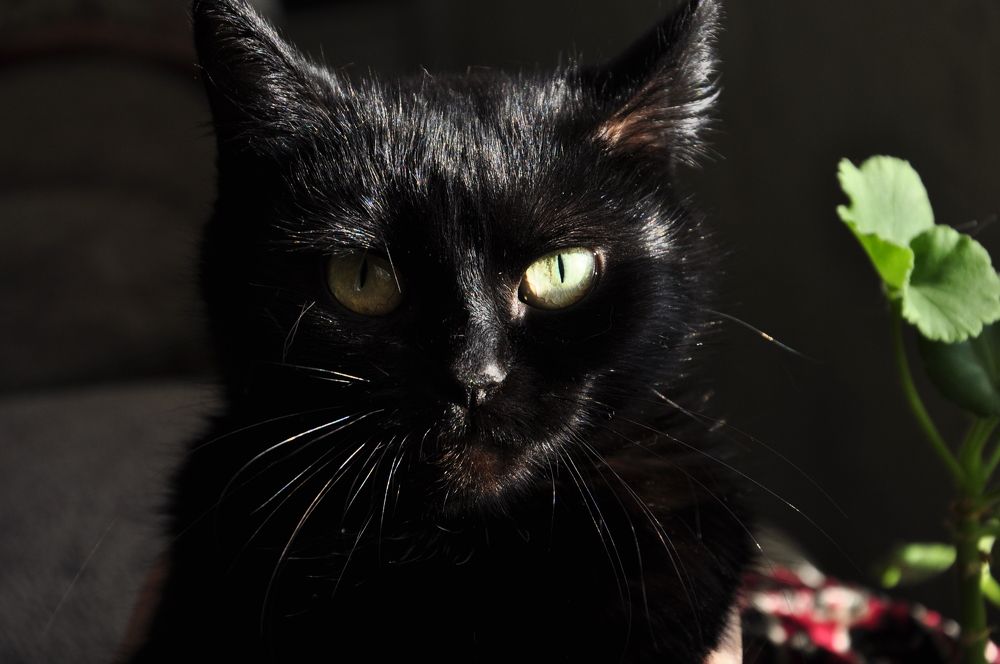 Photograph by Наталья Сорокина