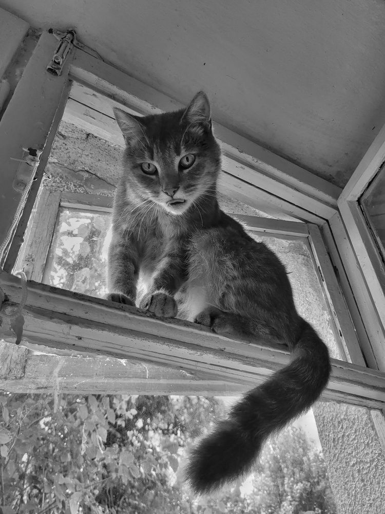 Photograph by Валерия