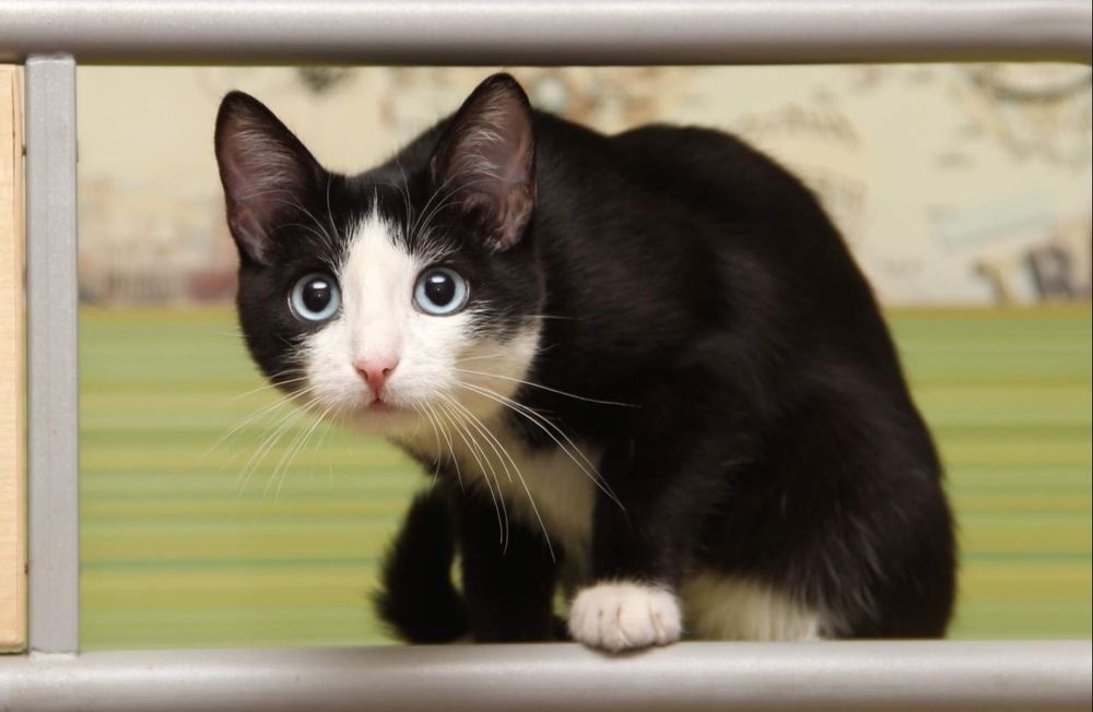 Photograph by Алина