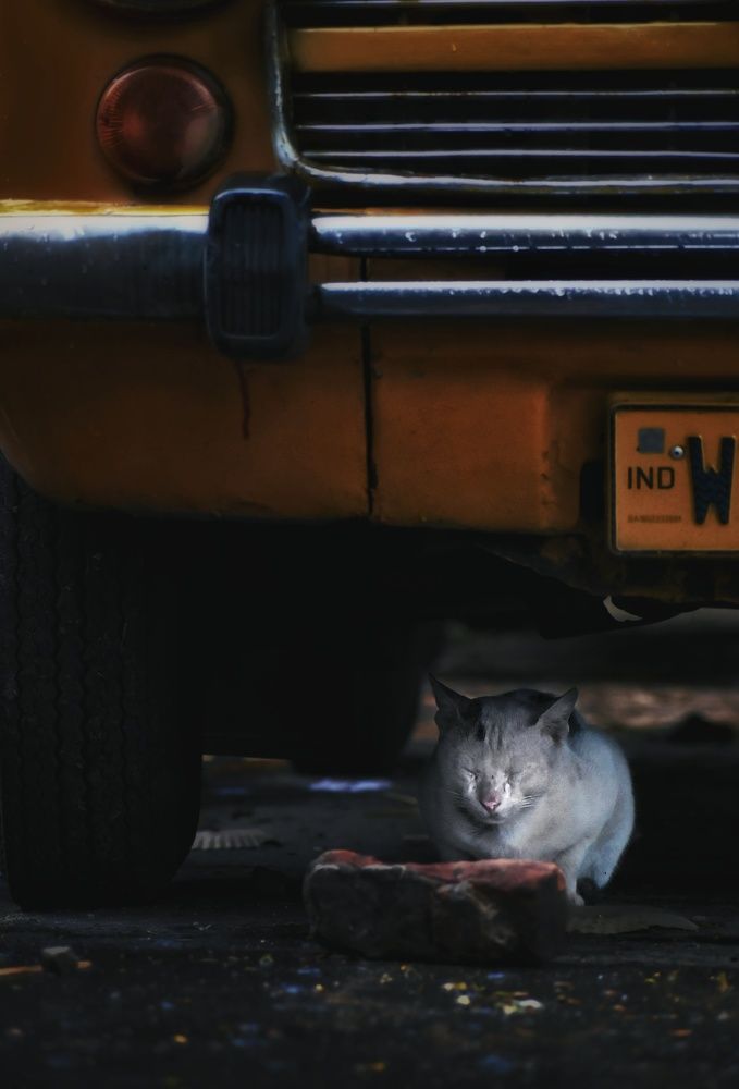 Photograph by Bapi Kundu