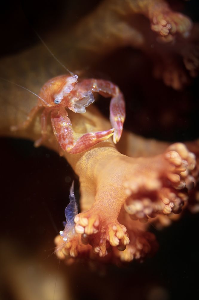 Photograph by Дериглазова Марина Владимировна